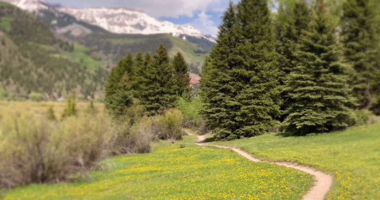 Where will your path lead?