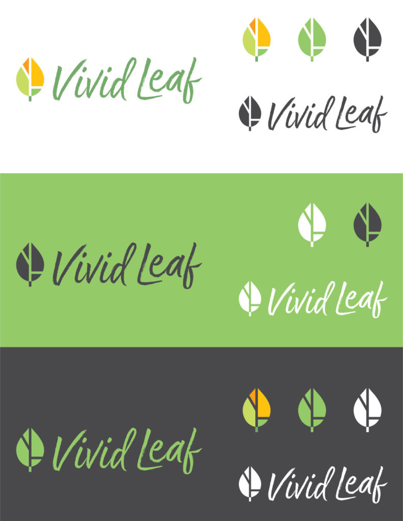 Vivid Leaf Studio 2d