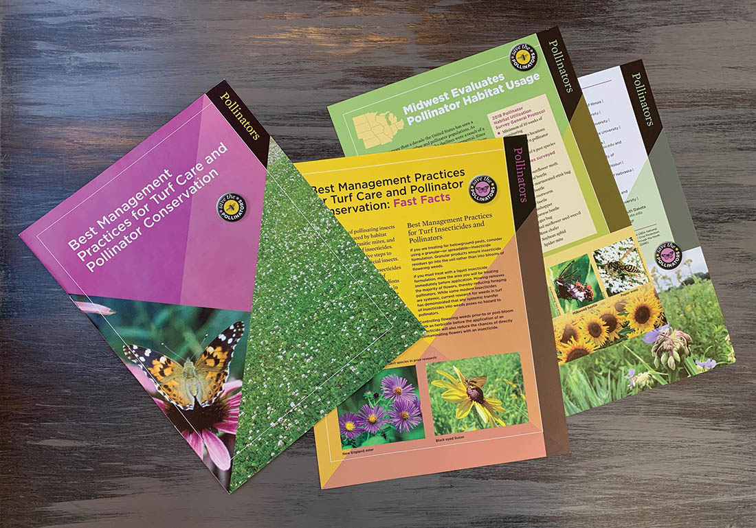 Pollinator publication designs