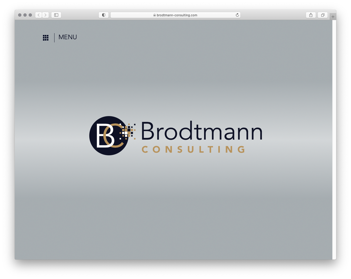 Brodtmann Consulting logo design